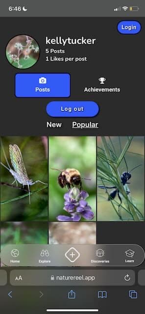User profile