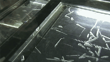 Radon 220 being pumped into a special liquid solution, allowing us to see the radiation it emits.