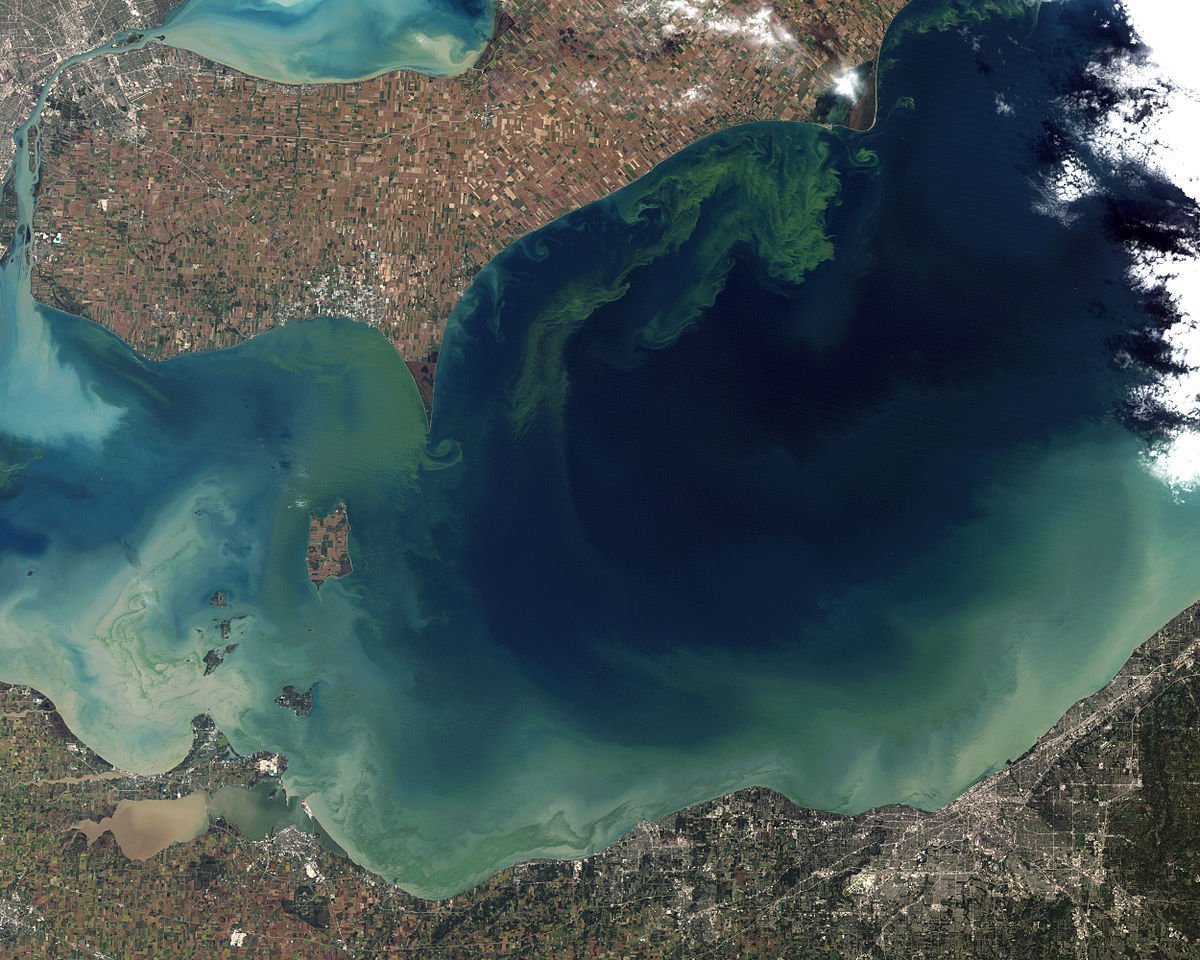 A green algae bloom in Lake Eyrie, caused by nitrogen fixed fertilisers and torrential rains. Image credit: NASA