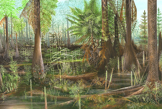 Image source: Mary Parrish at the Smithsonian Institution