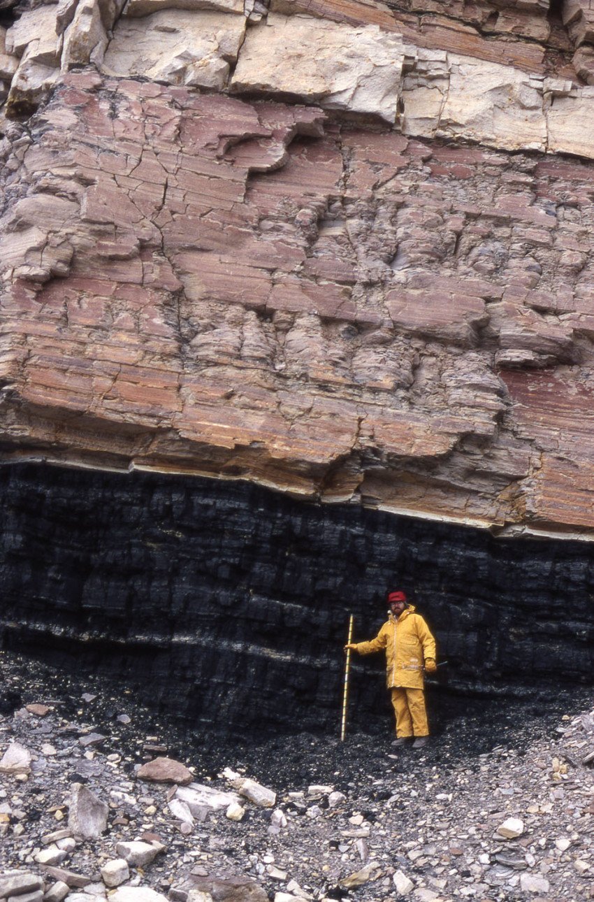 This coal seam in Antarctica is the remnant of a Carboniferous forest. It would burn all the way through if you held a flame to it.
