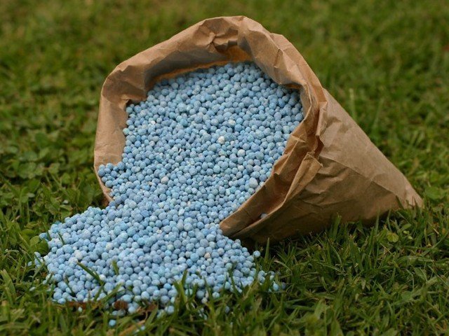 Nitrogen-fixed fertiliser