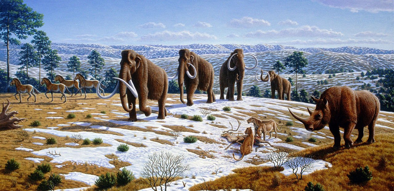 The world 100,000 years ago contained woolly mammoths, woolly rhinoceroses, and cave lions.